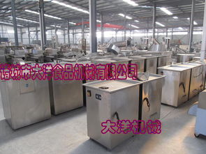 QS型薯片机与家用杏鲍菇切丝设备 大洋牌食品机械的精准之作