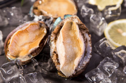 鲍鱼写真,探寻海洋珍馐的奢华魅力