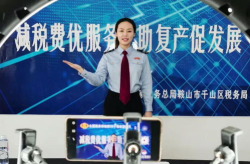 财税小姐姐头像,智慧与美貌并存的财务守护者”